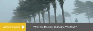 Best Hurricane Impact Windows